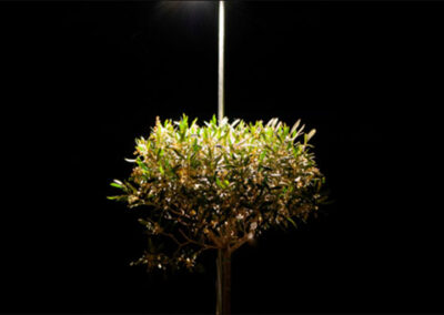 garden and landscape conduit lighting 1