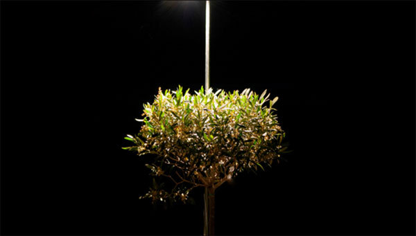 garden and landscape conduit lighting 1